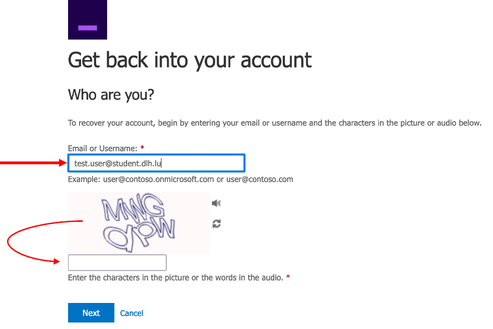 Step 3 — CAPTCHA