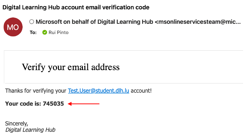 Step 5 — verification code email